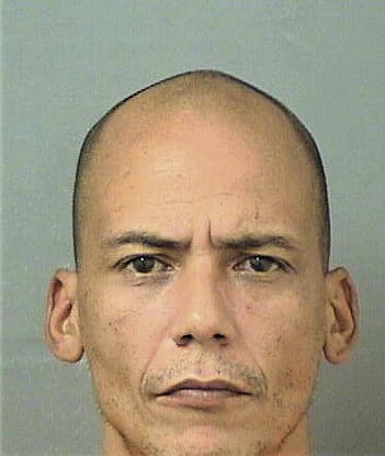 Misael Palaciomaldonado, - Palm Beach County, FL 